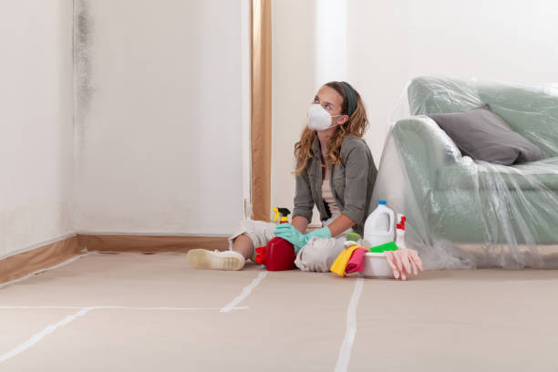 Trusted Basement Mold Remediation service in Florence, OR - Cheap Mold Removal